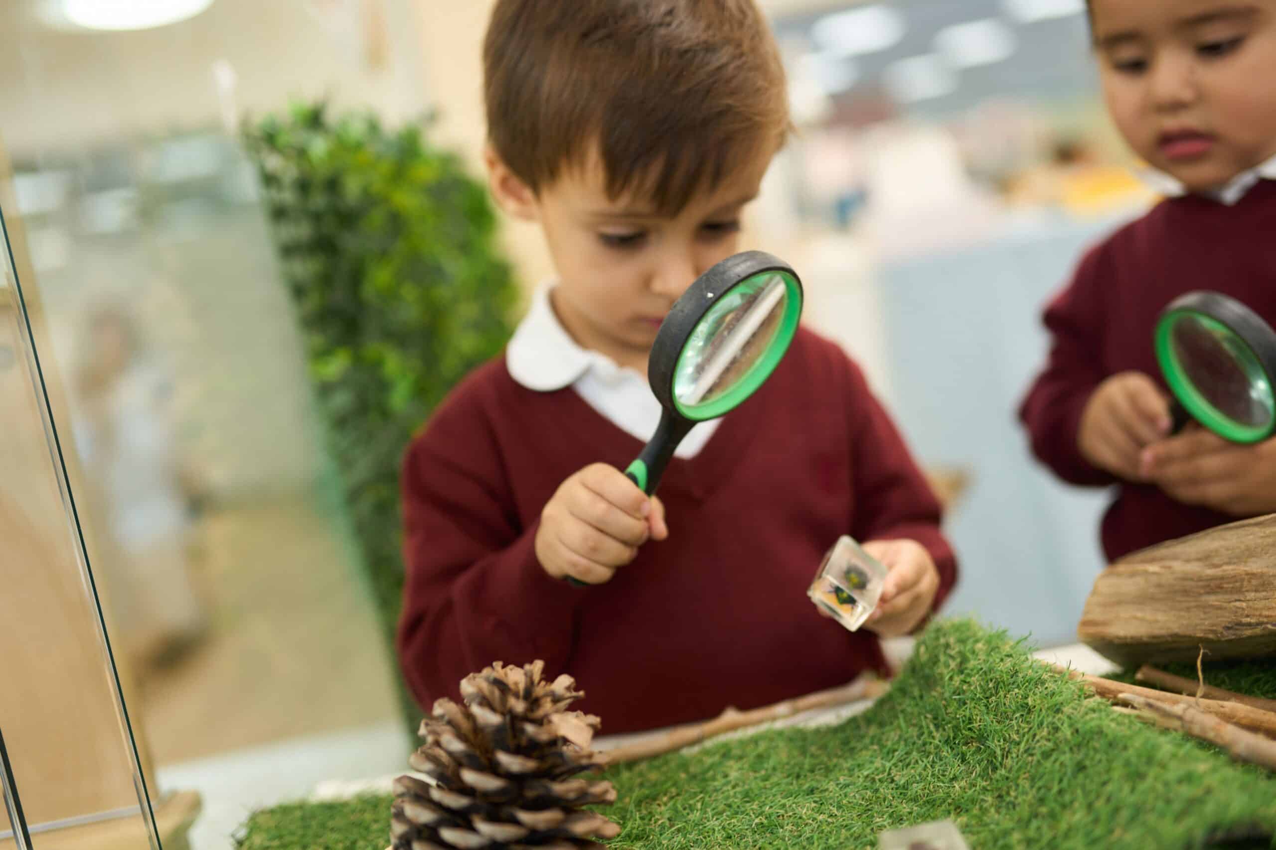 curiosidad en educacion infantil