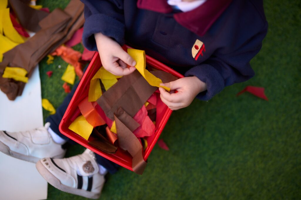 Cómo fomentar la exploración y la curiosidad en educación infantil 1